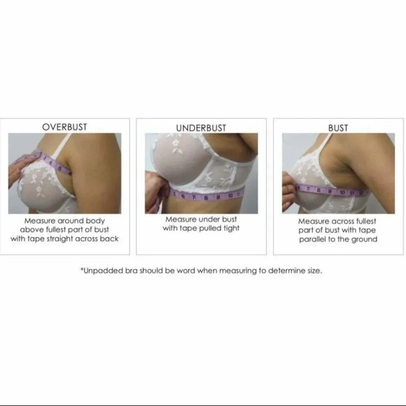 34C Felina 115073 Peridot Lace‎ Unlined Underwire Bra Periwinkle NWT - Picture 6 of 7